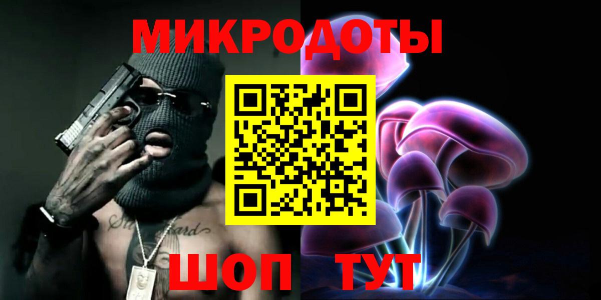 Псилоцибиновые грибы Psilocybine cubensis Великий Новгород